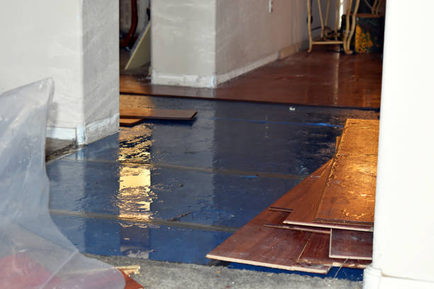 Professional Crawl Space Water Removal technician working in Milton, MA